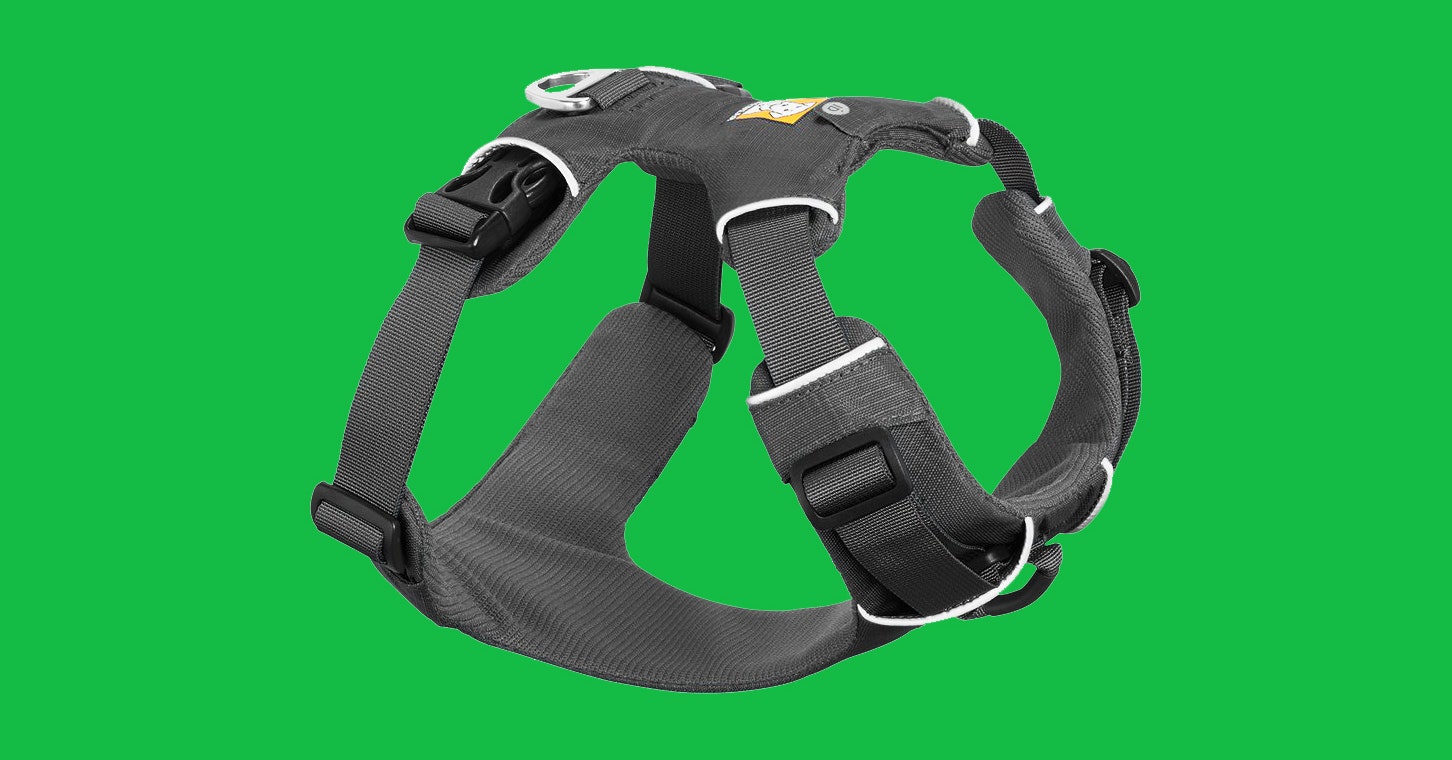 19 Highest Canine Equipment (2022): Canine Beds, Puppy Cameras, Carriers, and Extra